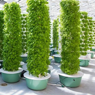 Hydroponic Tower - ระบบปลูกพืชแบบแอโรโปนิกส์แบบทาวเวอร์พร้อมไฟส่องสว่าง 60 ต้น ระบบปลูกพืชแนวตั้งแบบแอโรโปนิกส์ ระบบปลูกพืชแบบไฮโดรโปนิกส์แบบทาวเวอร์แนวตั้ง