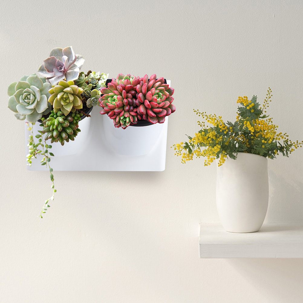 Self Watering Planter - กระถางดอกไม้รดน้ำอัตโนมัติ ทำจากพลาสติก สีม่วง สำหรับตกแต่งภายในและภายนอกอาคาร เหมาะสำหรับปลูกไม้อวบน้ำและบอนไซ