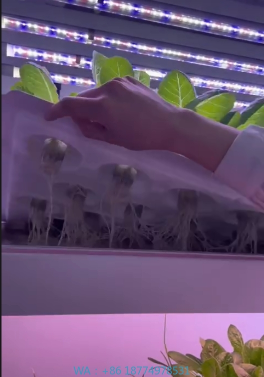 Hydroponic Tower - อุปกรณ์การเกษตรในโรงเรือนเพาะเห็ด ผัก ผลไม้ ระบบปลูกพืชแนวตั้งแบบไฮโดรโปนิกส์ ชั้นปลูกพืชในร่ม