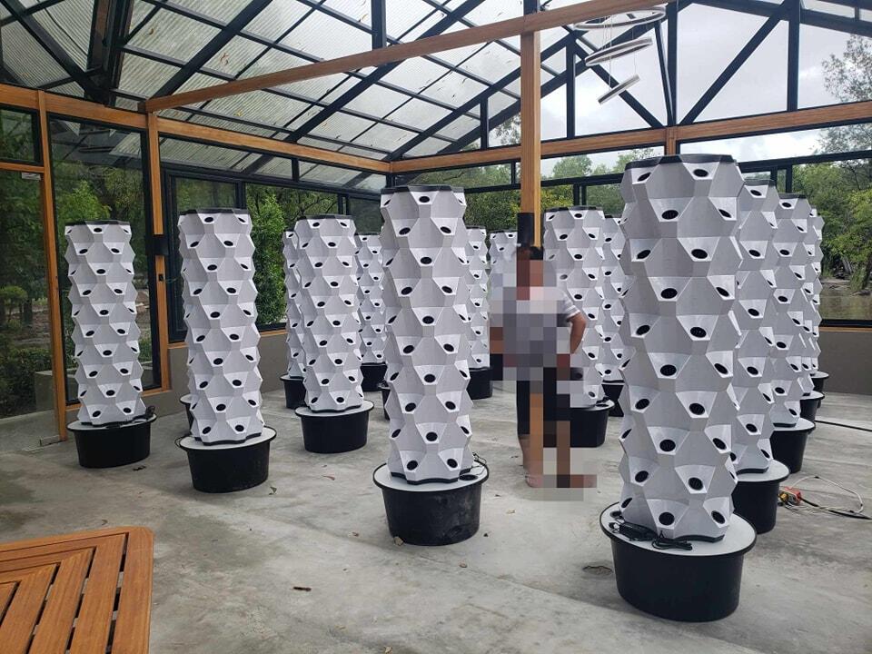 ระบบปลูกผักแนวตั้งแบบไฮโดรโปนิ - Hydroponic Tower บทวิจารณ์และราคา