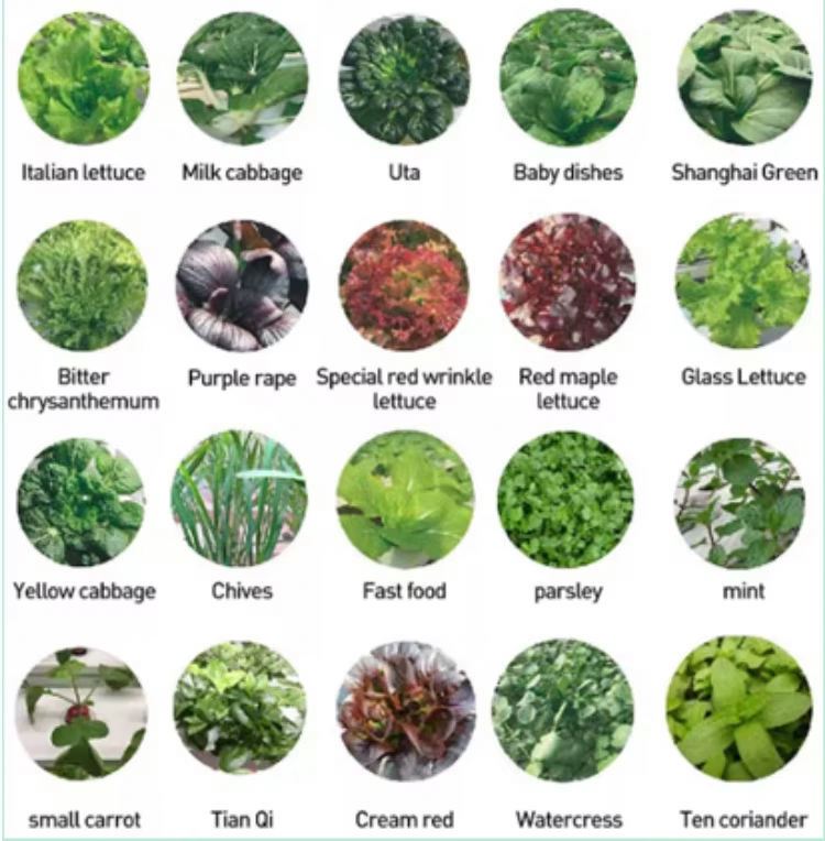 ระบบปลูกพืชไร้ดินในร่มแบบแนวตั - Hydroponic Tower บทวิจารณ์และราคา