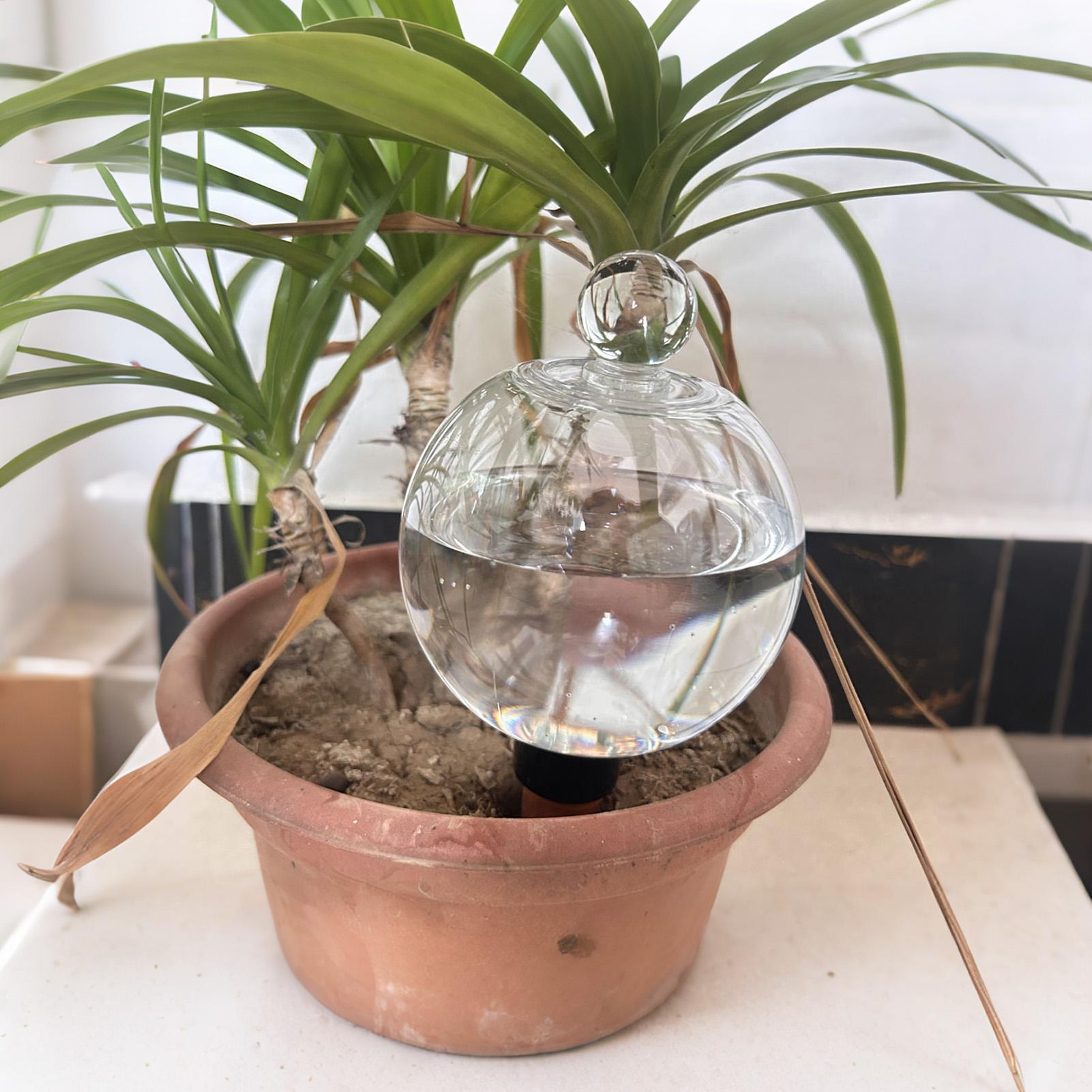 หลอดรดน้ำต้นไม้ 4 ชิ้น 500 มล. - Self Watering Planter บทวิจารณ์และราคา