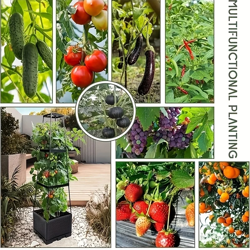ชุดปลูกมะเขือเทศแบบทาวเวอร์พร้ - Hydroponic Tower บทวิจารณ์และราคา