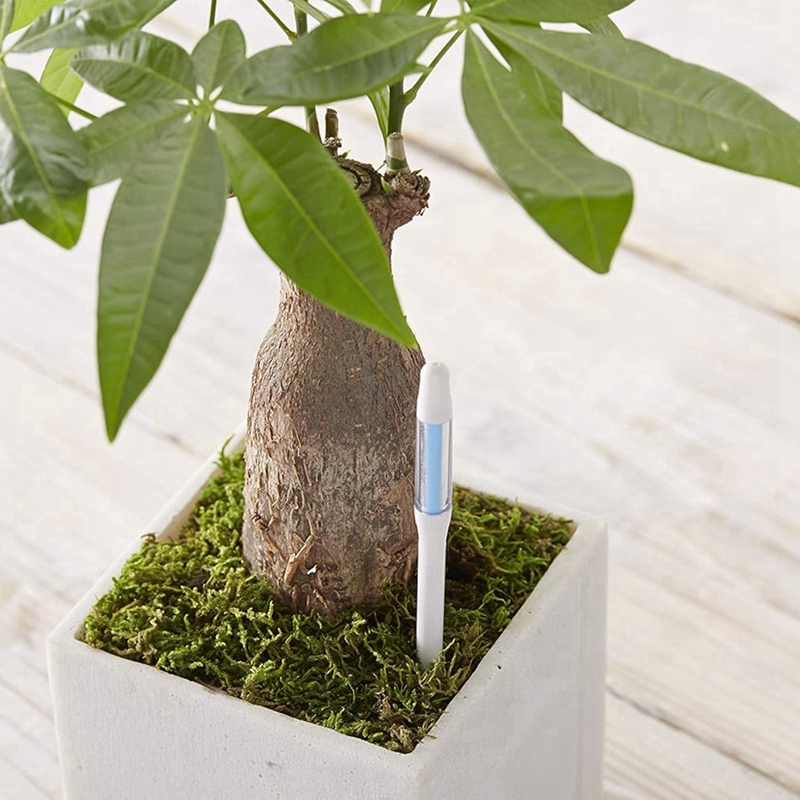 อควาเมเตอร์, 5 ชิ้น, เซ็นเซอร์ - Plant Sensor บทวิจารณ์และราคา