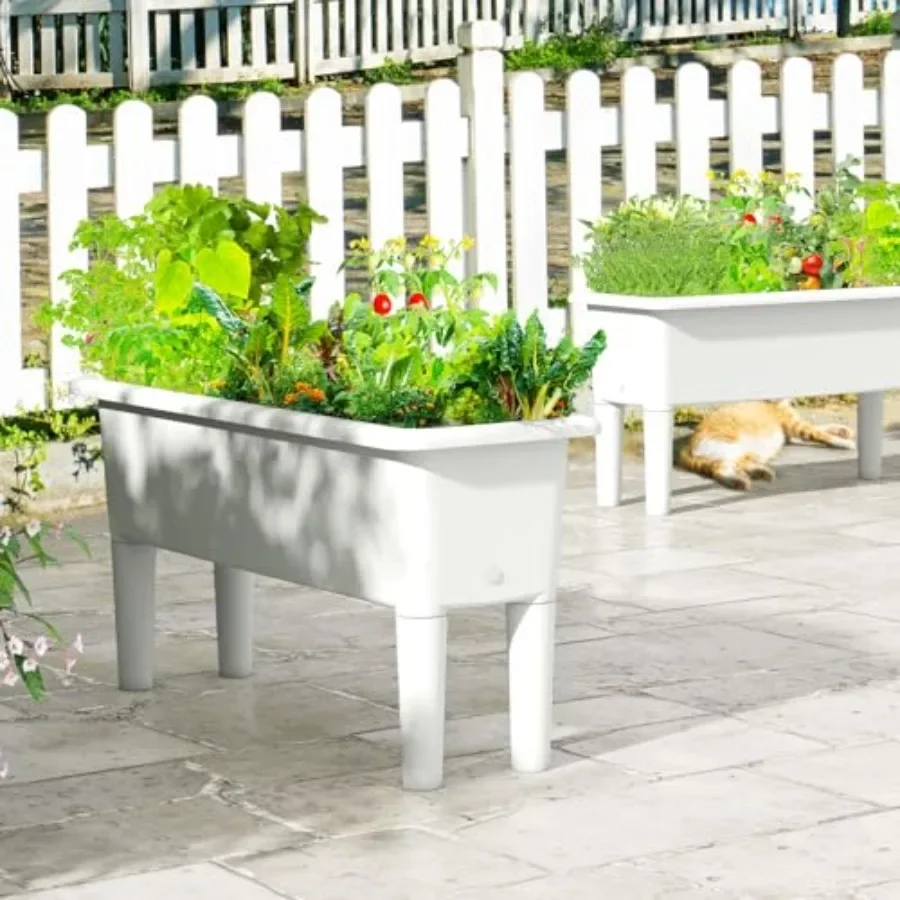 ชุดกระถางปลูกแบบยกสูงสำหรับใช้ - Self Watering Planter บทวิจารณ์และราคา