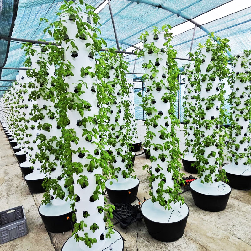ระบบปลูกพืชไฮโดรโปนิกส์แนวตั้ง - Hydroponic Tower บทวิจารณ์และราคา