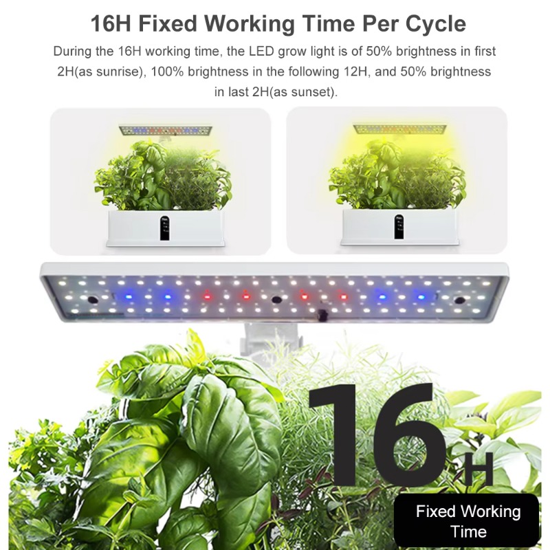 ระบบปลูกพืชไฮโดรโพนิกส์อัจฉริย - Hydroponic Grow Pod บทวิจารณ์และราคา