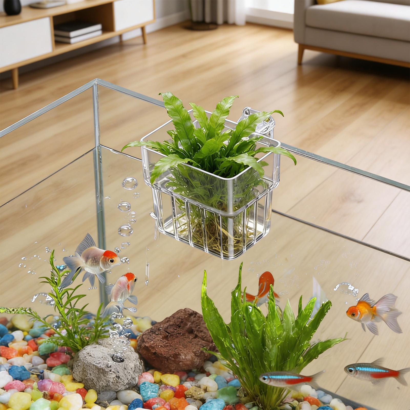 กระถางใสสำหรับแขวนปลูกพืชน้ำใน - Hydroponic Grow Pod บทวิจารณ์และราคา