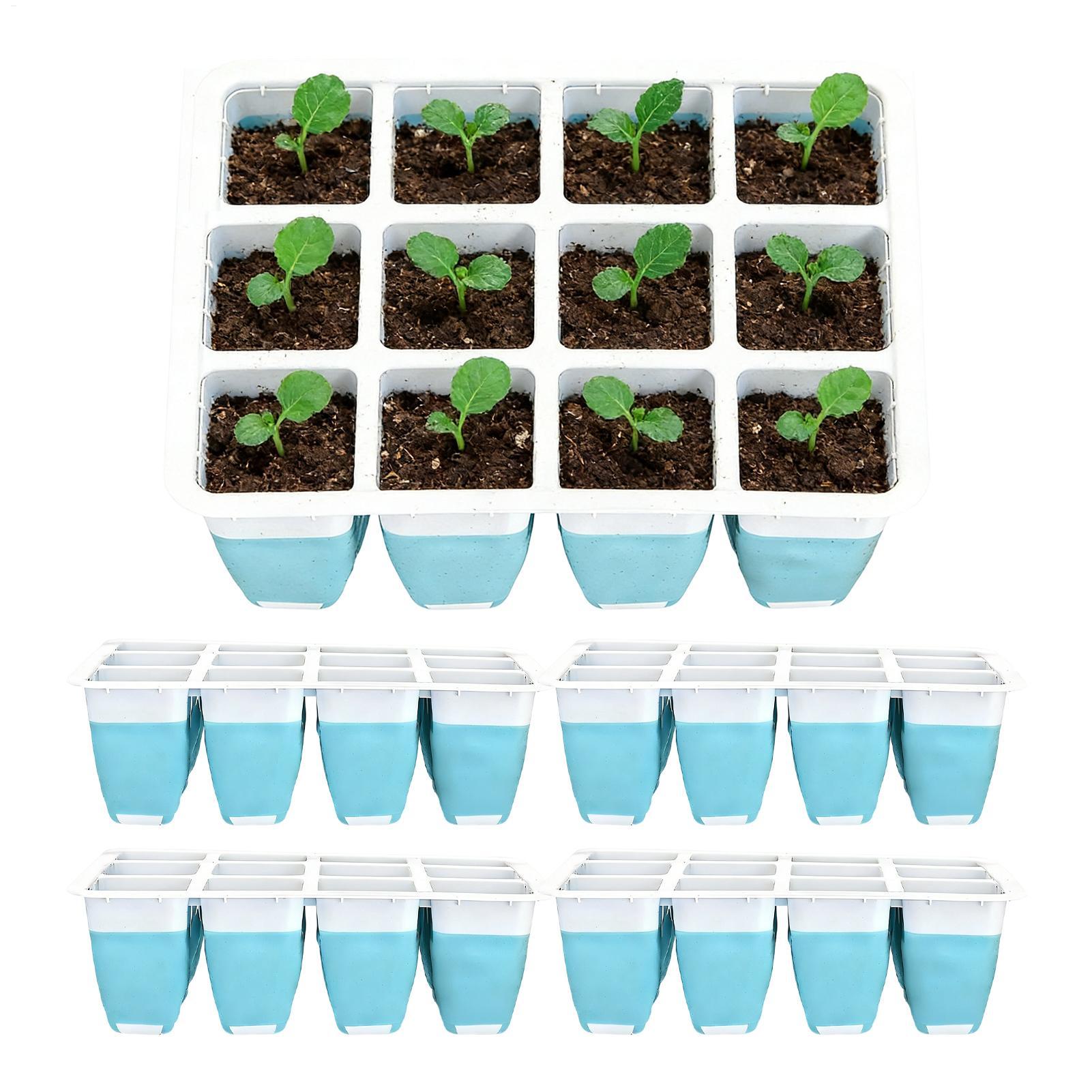 ถาดเพาะเมล็ดซิลิโคน 5 ชิ้น 60  - Indoor Garden Kit บทวิจารณ์และราคา