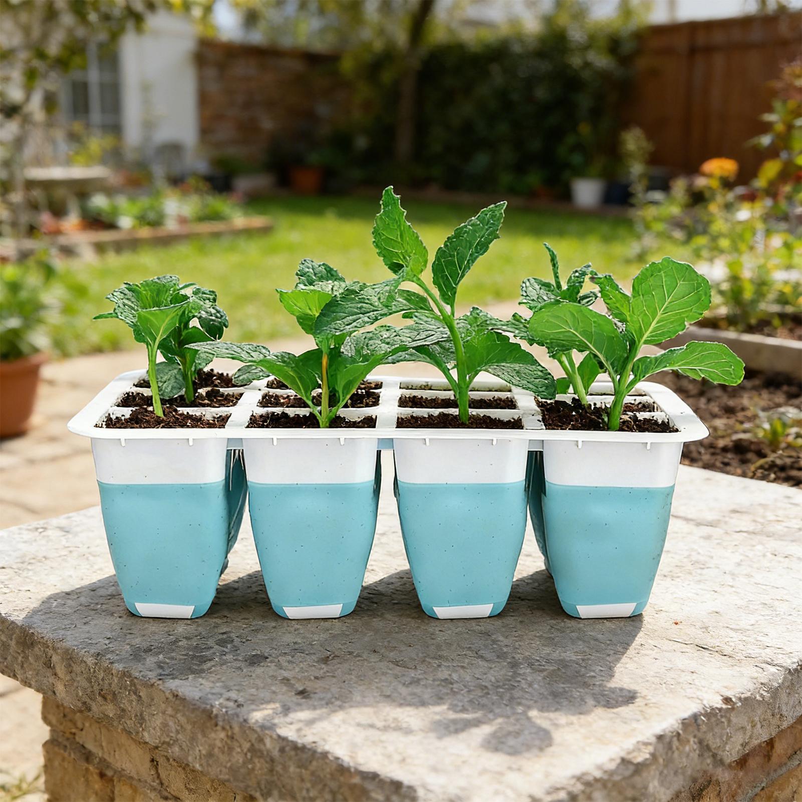ถาดเพาะเมล็ดซิลิโคน 5 ชิ้น 60  - Indoor Garden Kit บทวิจารณ์และราคา