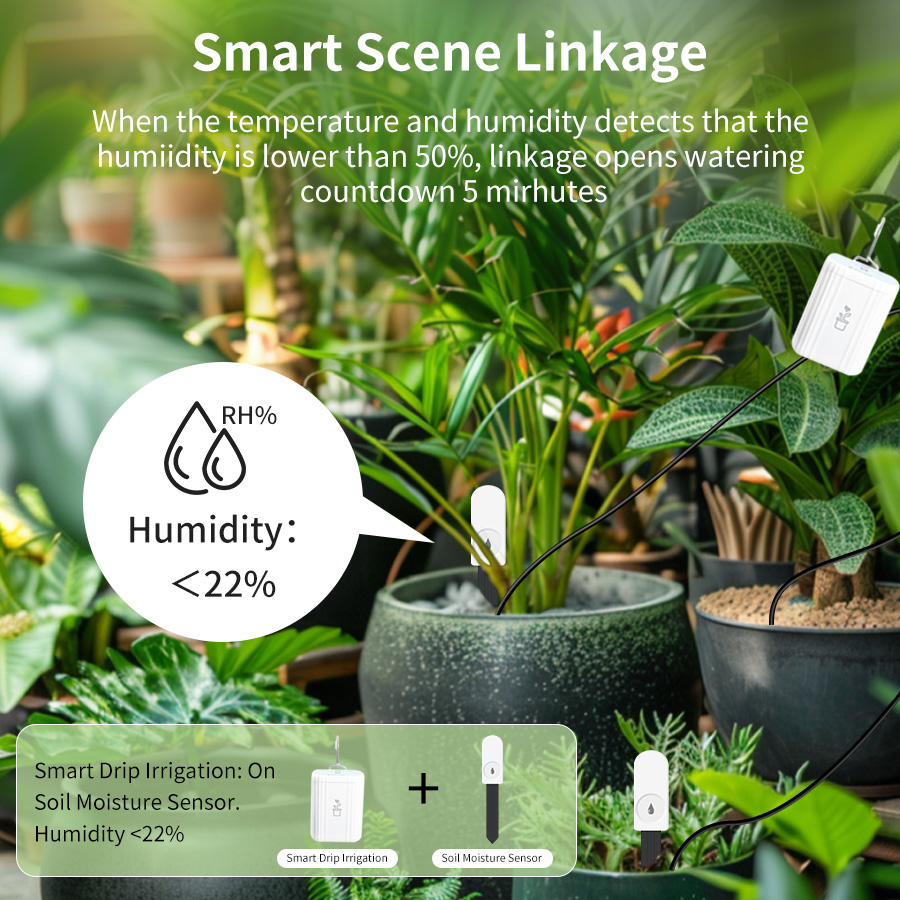 เครื่องวัดความชื้นและอุณหภูมิด - Plant Monitor บทวิจารณ์และราคา