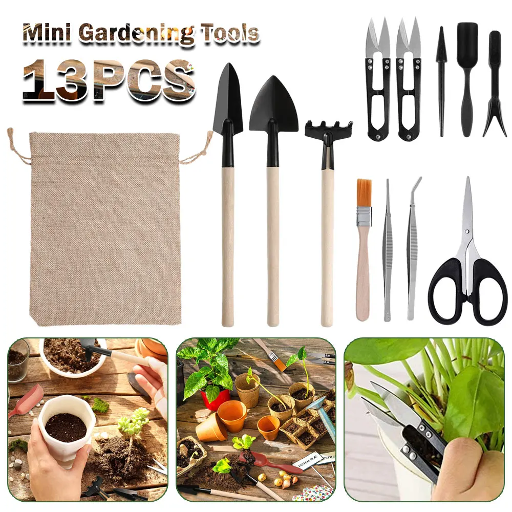 ชุดเครื่องมือปลูกพืชอวบน้ำ13ชิ - Indoor Garden Kit บทวิจารณ์และราคา