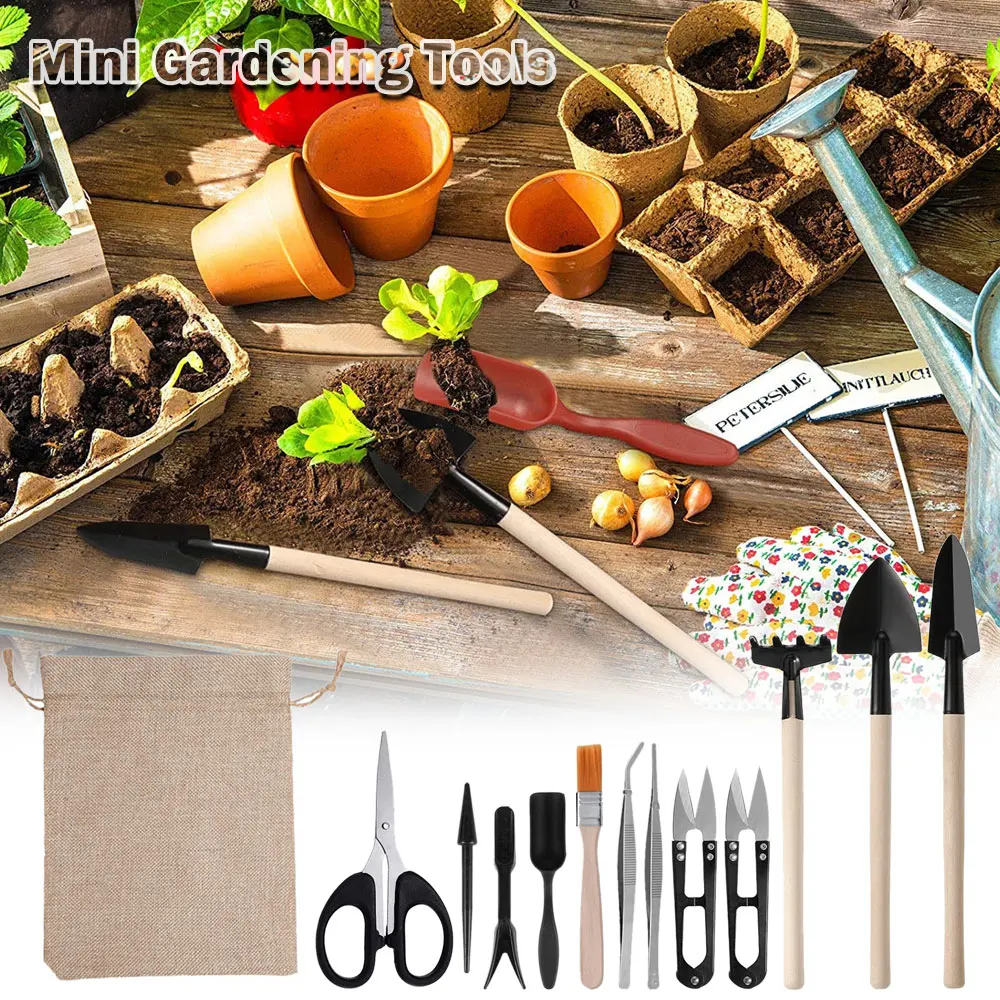 ชุดเครื่องมือปลูกพืชอวบน้ำ13ชิ - Indoor Garden Kit บทวิจารณ์และราคา