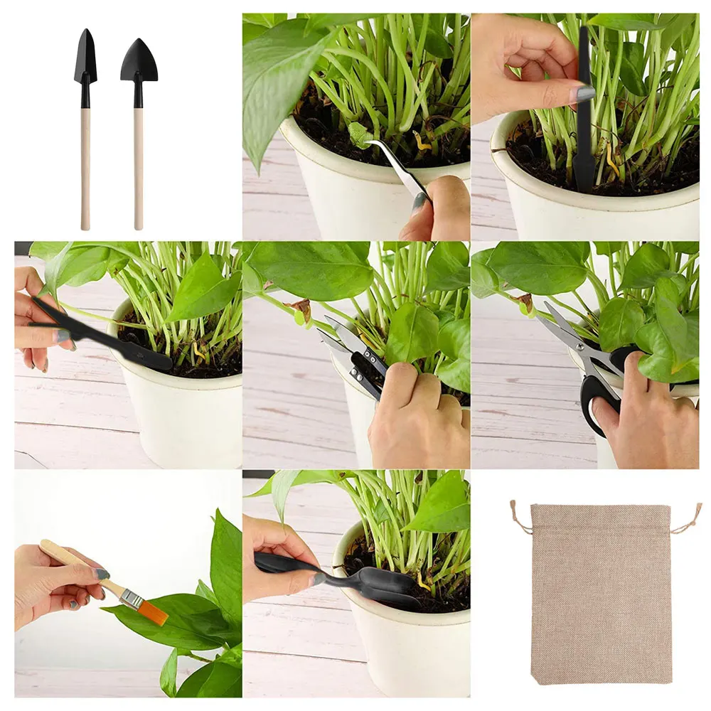 ชุดเครื่องมือปลูกพืชอวบน้ำ13ชิ - Indoor Garden Kit บทวิจารณ์และราคา