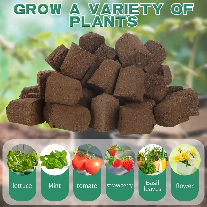 ชุดฟองน้ำเริ่มต้นการเพาะเมล็ดส - Indoor Garden Kit บทวิจารณ์และราคา