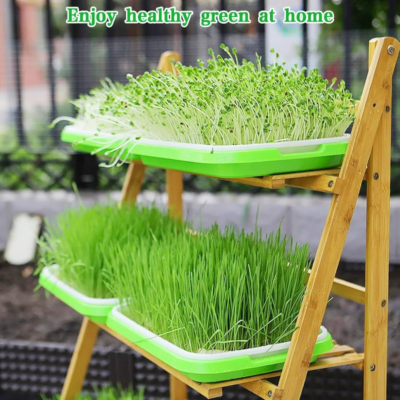 ถาดเพาะเมล็ดไมโครกรีน ถาดเพาะง - Hydroponic Grow Pod บทวิจารณ์และราคา