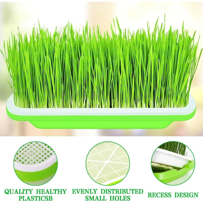 ถาดเพาะเมล็ดไมโครกรีน ถาดเพาะง - Hydroponic Grow Pod บทวิจารณ์และราคา