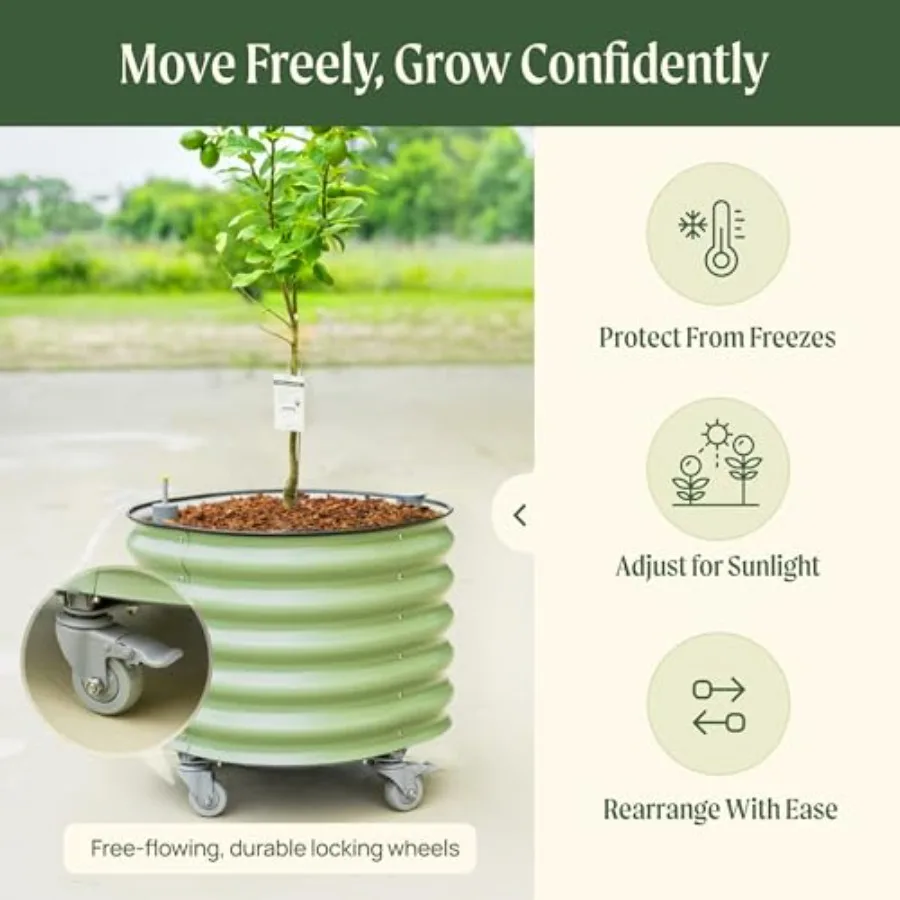 กระถางปลูกต้นไม้ทรงกลมแบบมีระบ - Self Watering Planter บทวิจารณ์และราคา