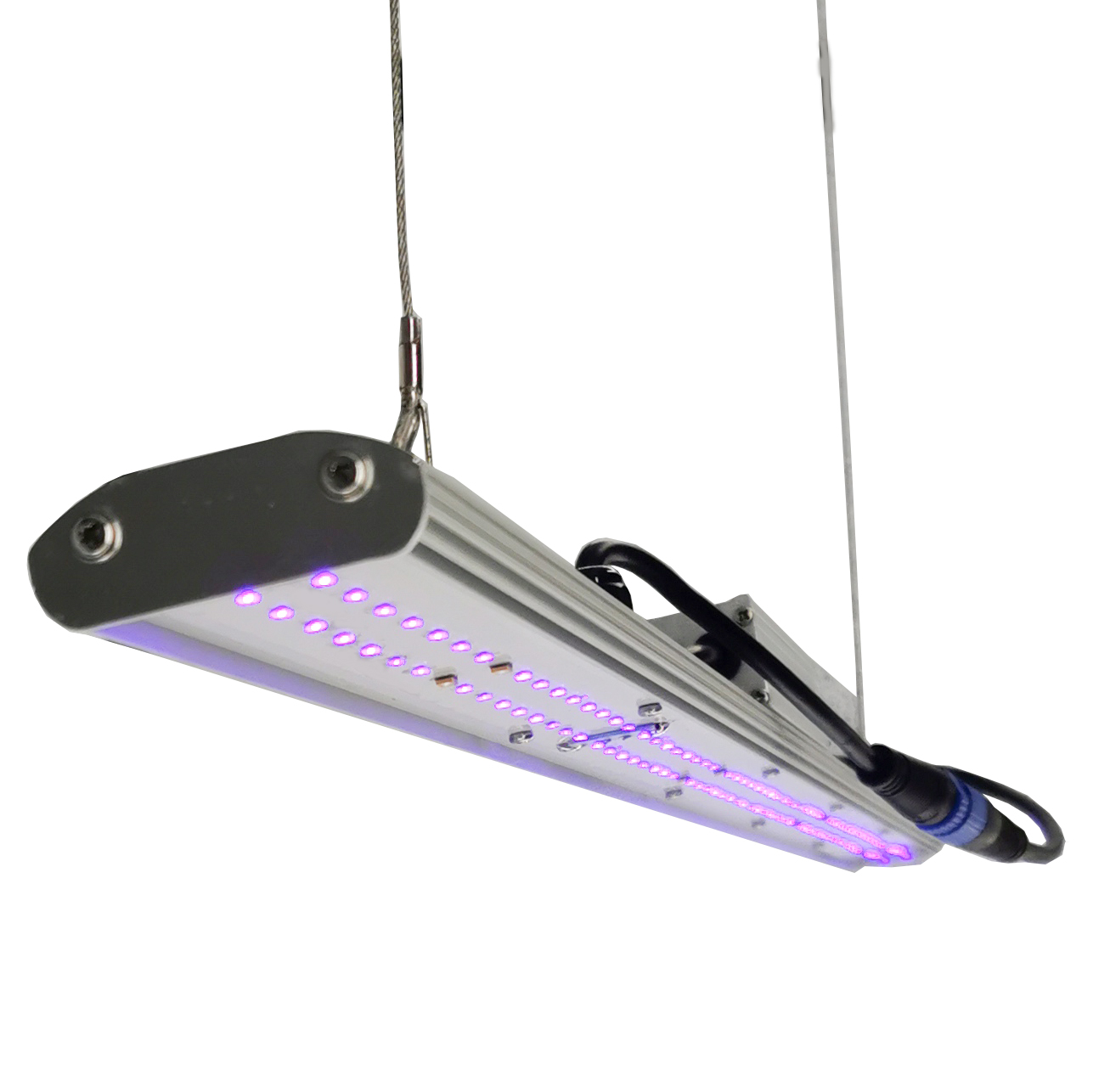 ไฟปลูกต้นไม้แบบ LED DANSE LED  - Grow Light Led บทวิจารณ์และราคา