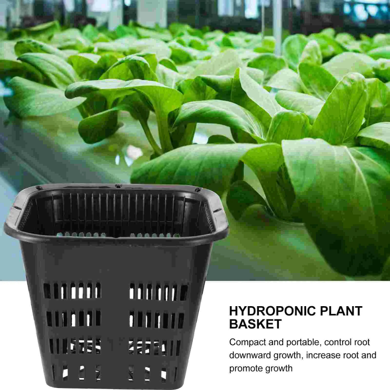 ตะกร้าปลูกพืชแบบไฮโดรโพนิก 6 ช - Hydroponic Grow Pod บทวิจารณ์และราคา