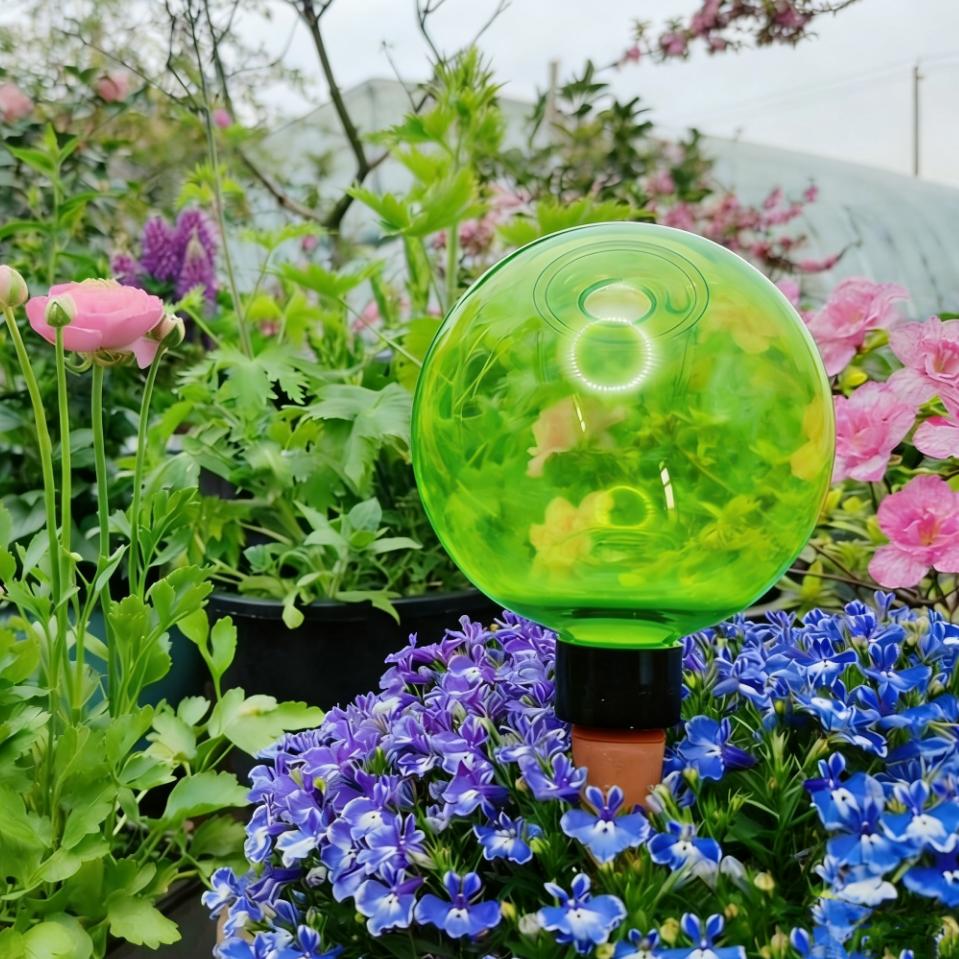 ลูกบอลรดน้ำต้นไม้ขนาดใหญ่ 3 ชิ - Self Watering Planter บทวิจารณ์และราคา