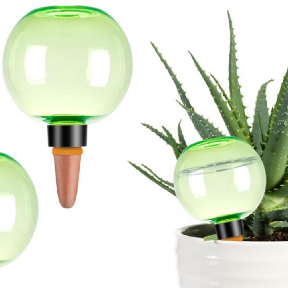 ลูกบอลรดน้ำต้นไม้ขนาดใหญ่ 3 ชิ - Self Watering Planter บทวิจารณ์และราคา