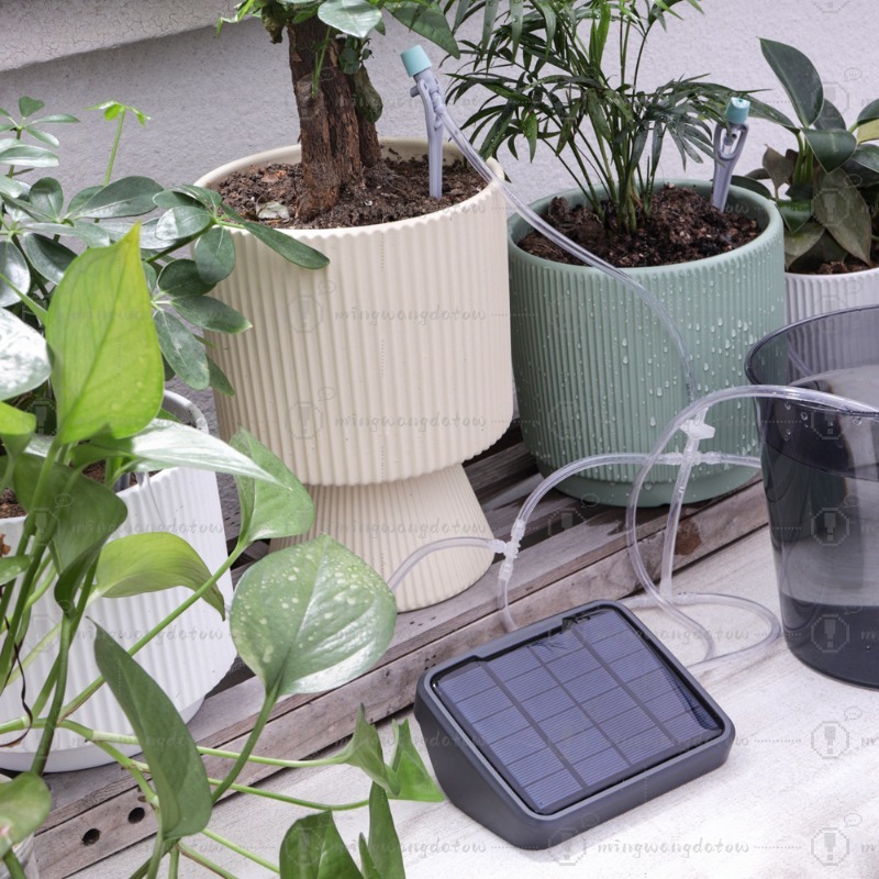 อุปกรณ์รดน้ำอัตโนมัติด้วยพลังง - Automatic Watering บทวิจารณ์และราคา