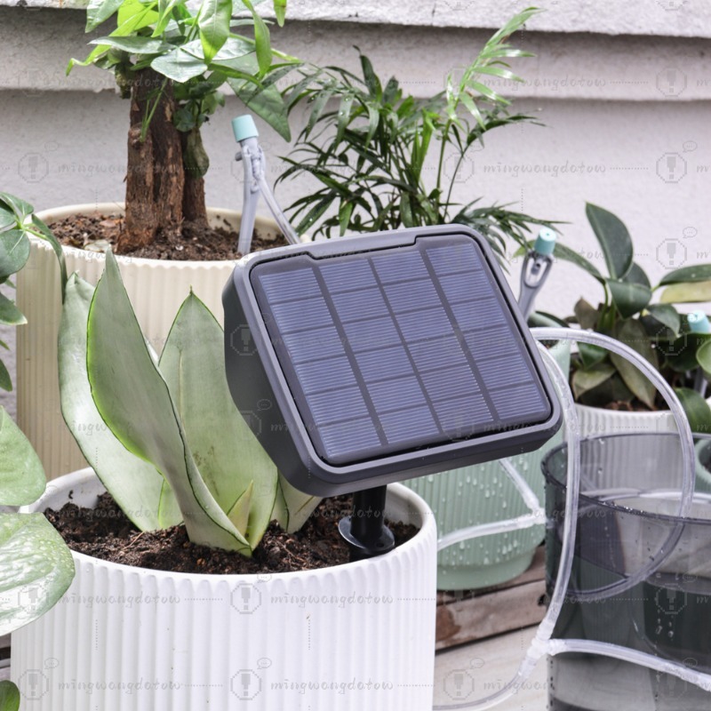 อุปกรณ์รดน้ำอัตโนมัติด้วยพลังง - Automatic Watering บทวิจารณ์และราคา