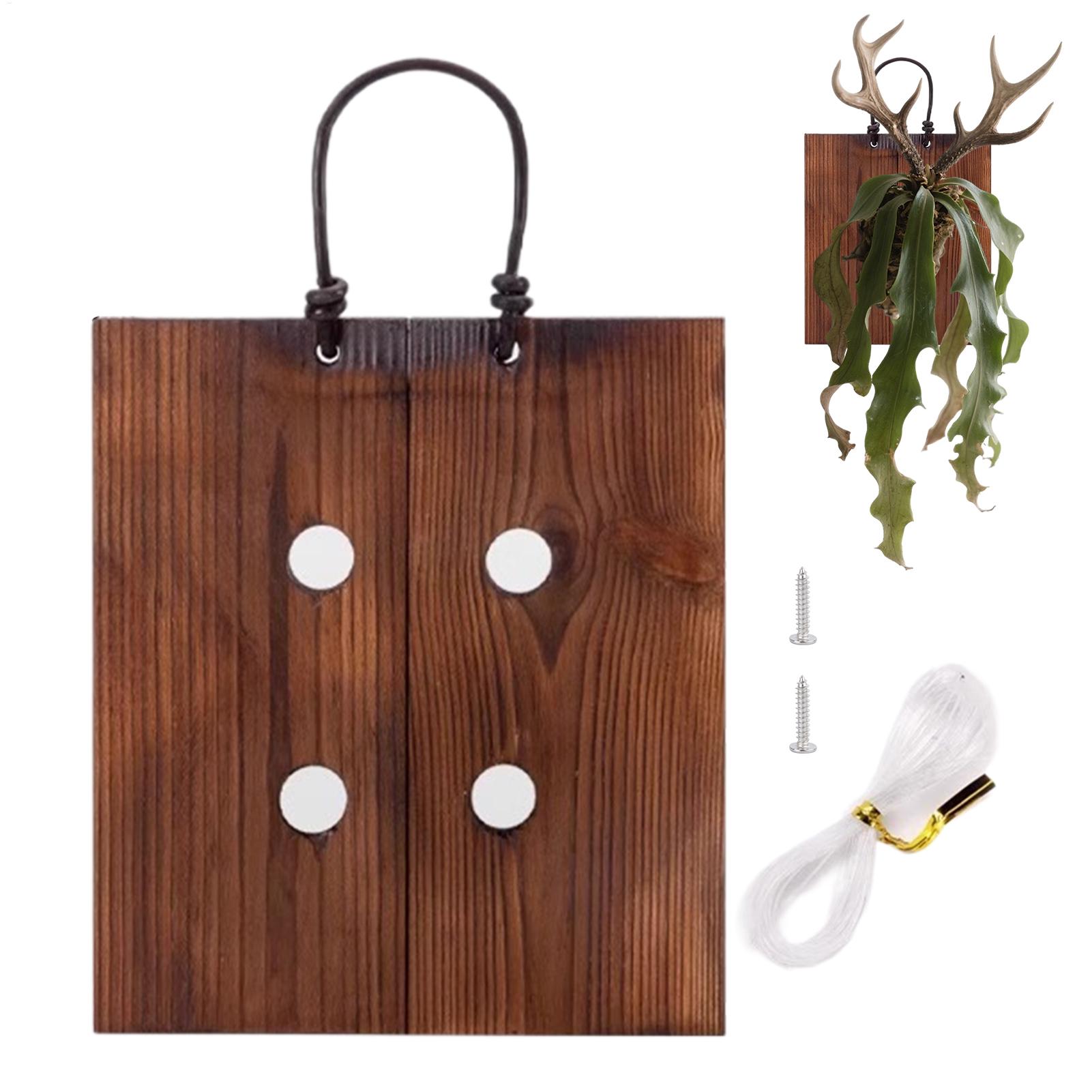 ชุดกระถางต้นไม้ติดผนังไม้ลายเข - Indoor Garden Kit บทวิจารณ์และราคา