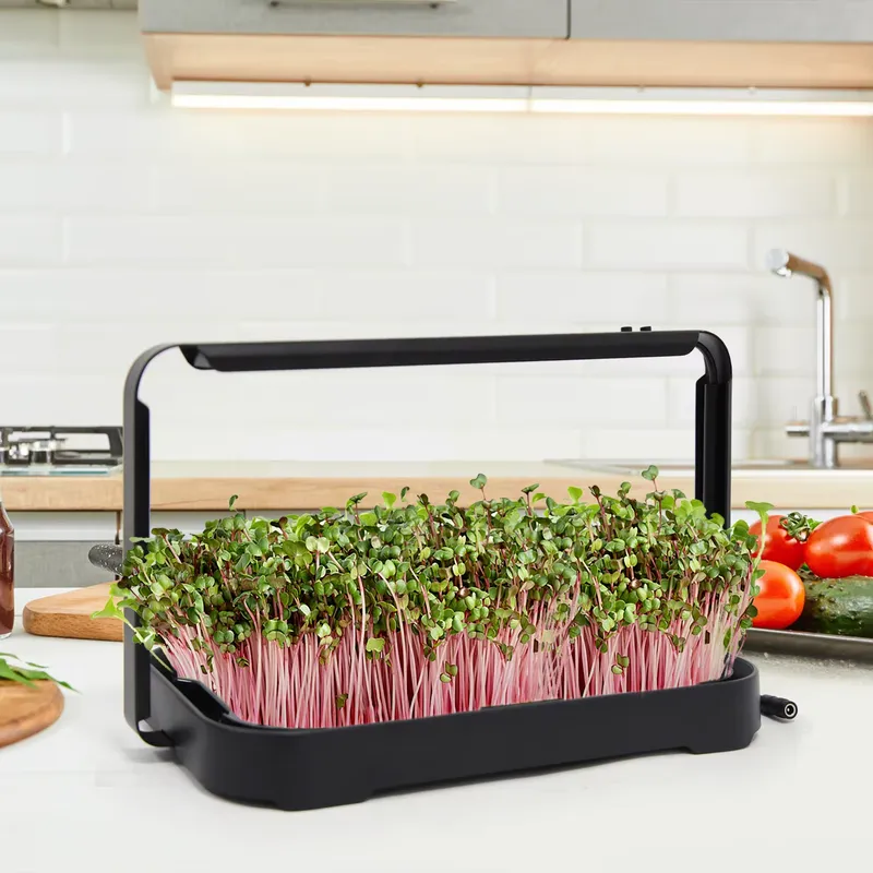 ถาดปลูกผักไฮโดรโพนิกสำหรับปลูก - Indoor Garden Kit บทวิจารณ์และราคา