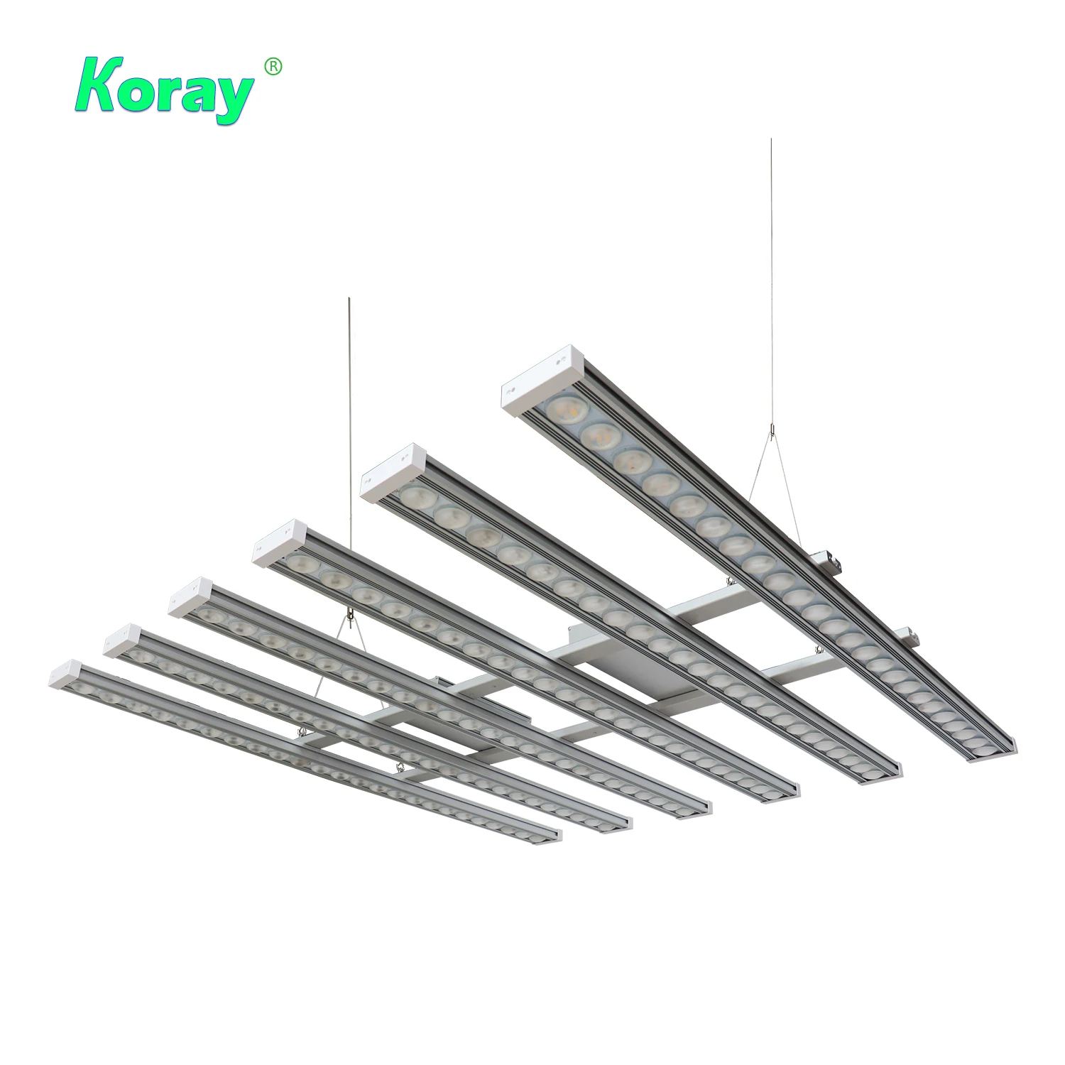 ไฟปลูกต้นไม้ในร่ม Koray 900W แ - Plant Grow Light Full Spectrum บทวิจารณ์และราคา