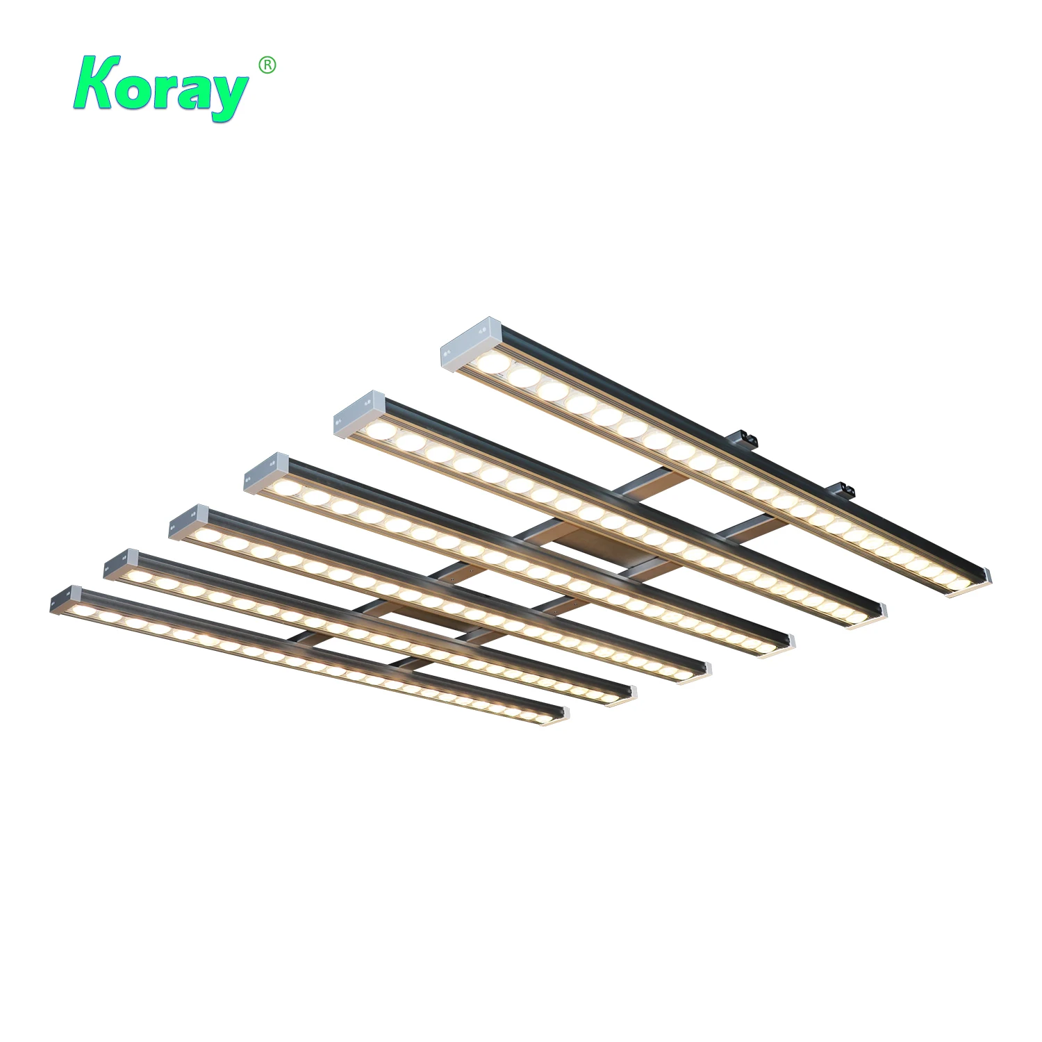 ไฟปลูกต้นไม้ในร่ม Koray 900W แ - Plant Grow Light Full Spectrum บทวิจารณ์และราคา